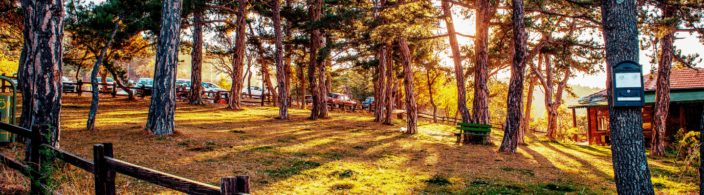 Yozgat Yozgat